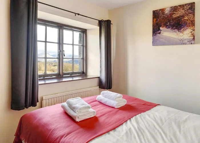 The At Thompson Ground * Hawkshead